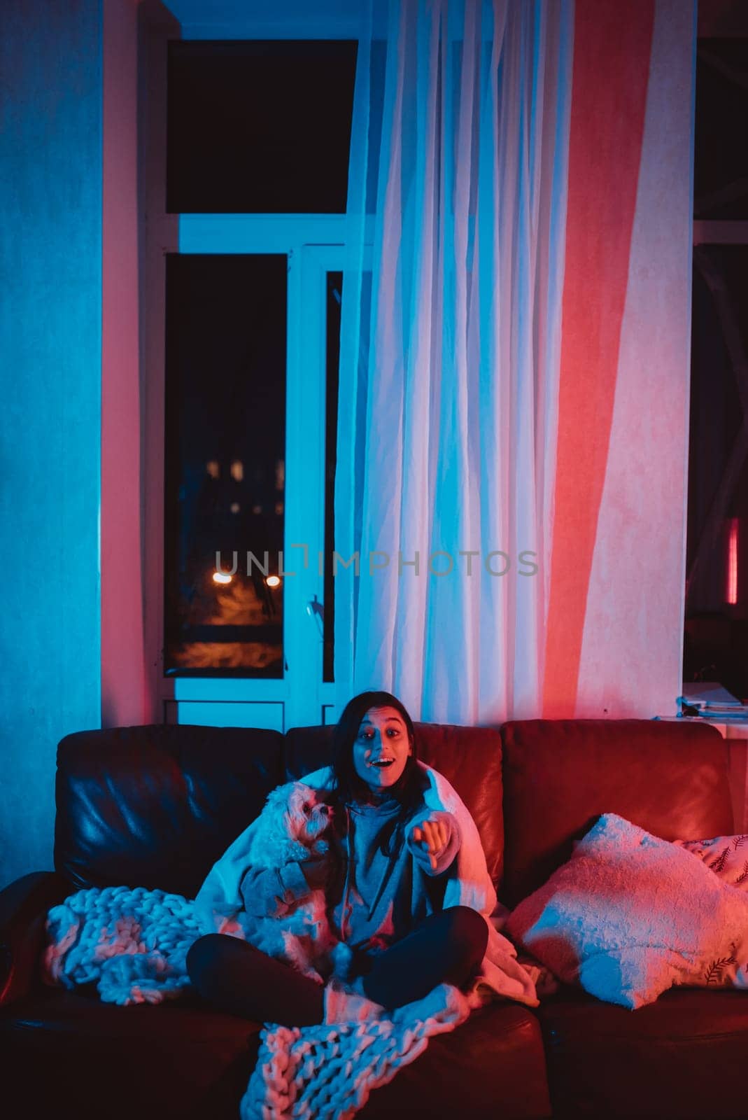 Beautiful young girl at home in a dark room with smartphone in her hands playing with her dog and sits in front of a monitor or TV. High quality photo
