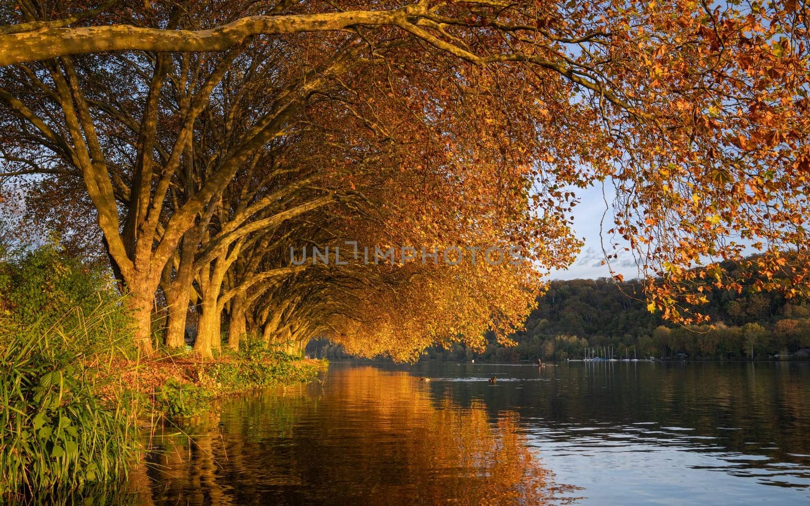 Baldeney lake, Essen, North Rhine Westphalia, Germany by alfotokunst