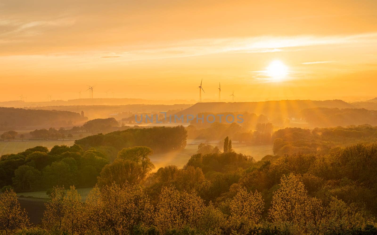 Evening mood, hills of Lower Rhine during sunset with evening fog, North Rhine Westphalia, Germany