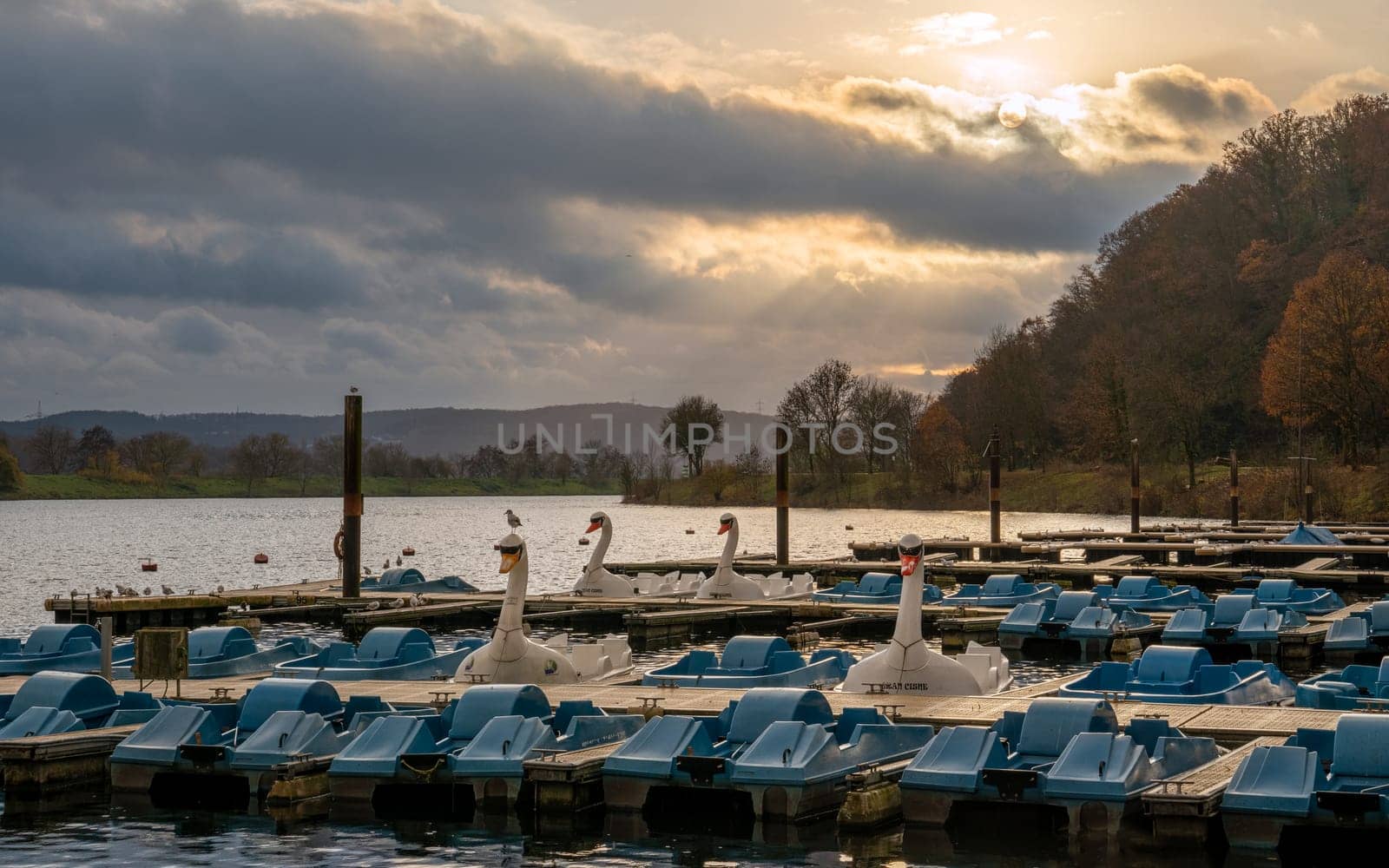 Panoramic image of paddleboats, autumn at the Kemnader lake, North Rhine Westphalia, Germany