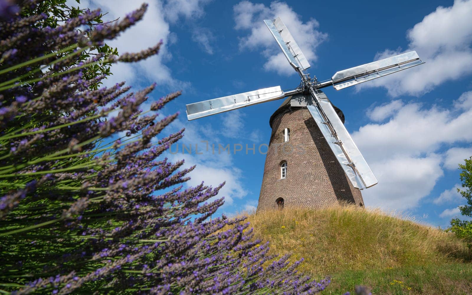 Windmill, Stommeln, North Rhine Westphalia, Germany by alfotokunst