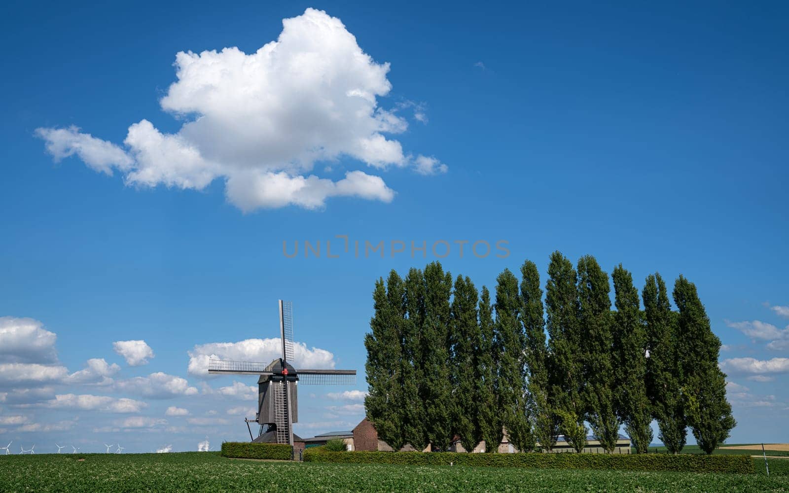 Windmill, Titz, North Rhine Westphalia, Germany by alfotokunst