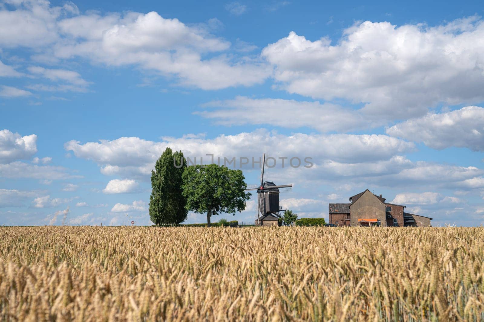 Panoramic image of windmill, Titz, North Rhine Westphalia, Germany