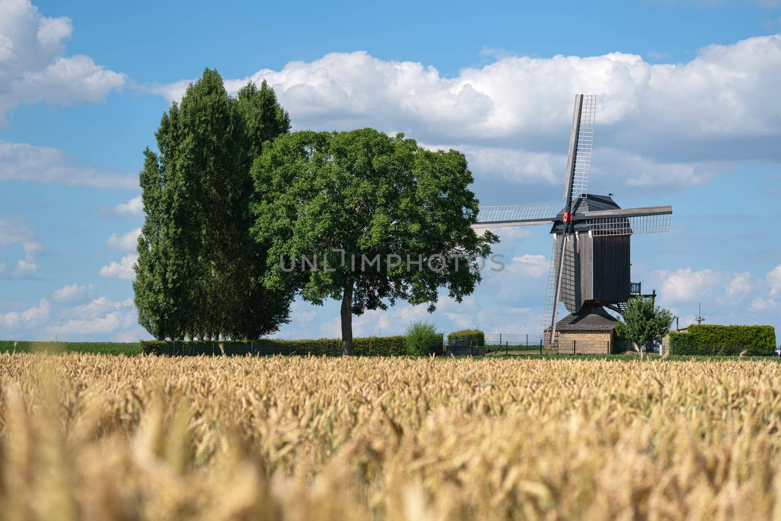 Windmill, Titz, North Rhine Westphalia, Germany by alfotokunst