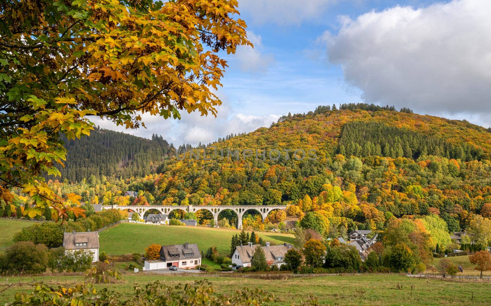 Panoramic image of autumnal landscape close to Willingen; Upland; Germany
