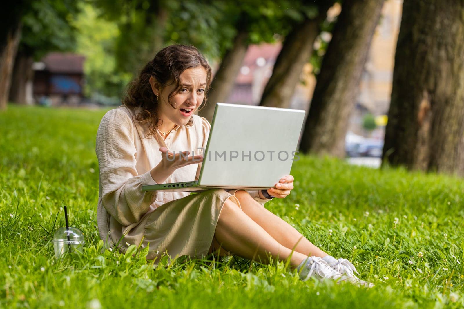 Portrait of young woman use laptop typing browsing working, loses becoming surprised sudden lottery results, bad news, fortune loss, fail. Girl sitting on grass in urban sunset city park background