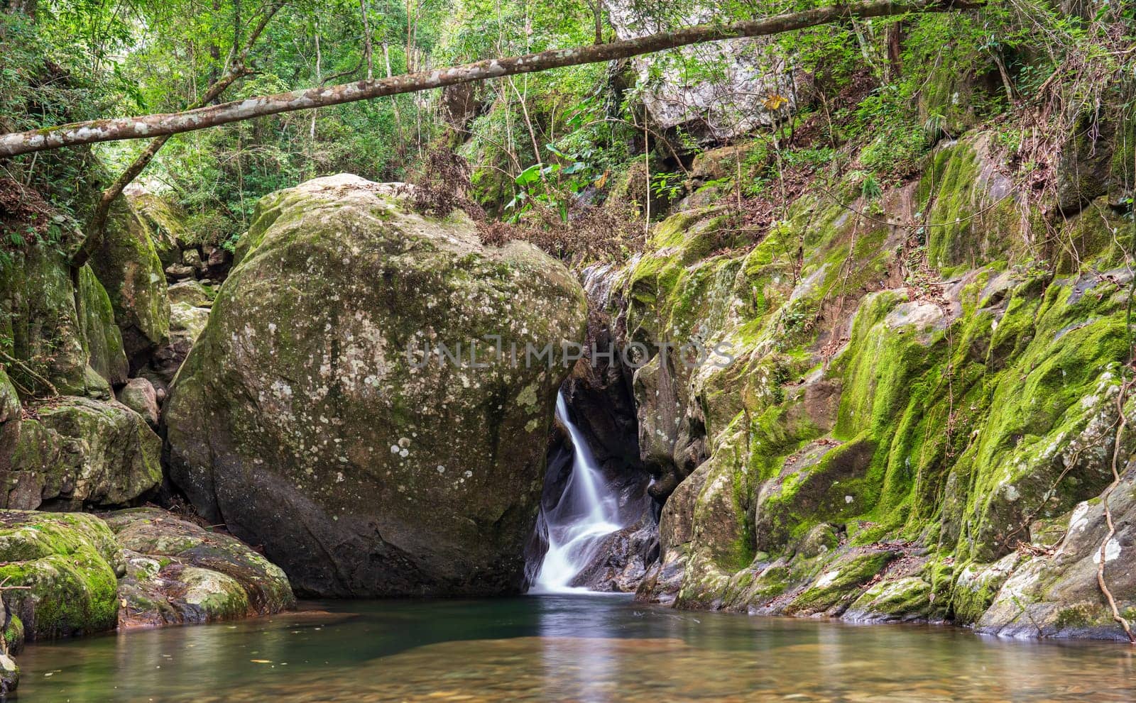 Explore a secret waterfall in the jungle, hidden behind a rock and crossed by a fallen tree. Experience the refreshing water and lush greenery.