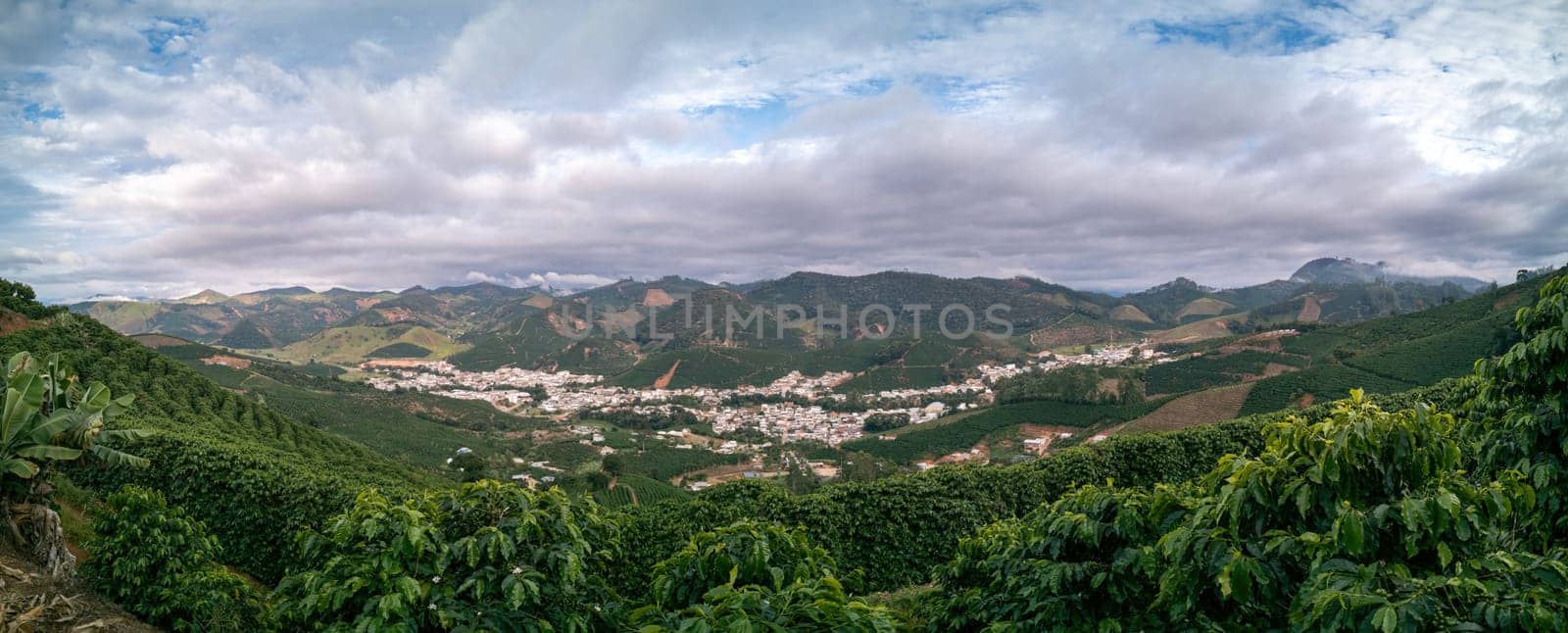 Stunning nature scene of Alto Caparao coffee town nestled in valley and enveloped by green coffee fields under cloudy sky. Perfect for agricultural and rural themes and with space for text.
