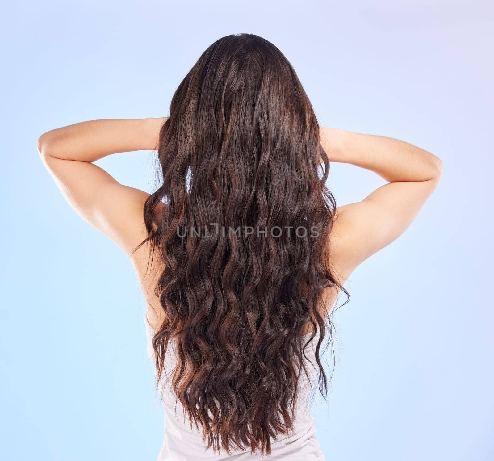 Hair, back view and beauty, woman and balayage hairstyle with Brazilian and shine on blue background. Haircare, female model and cosmetic care, salon treatment and texture with growth in studio by YuriArcurs