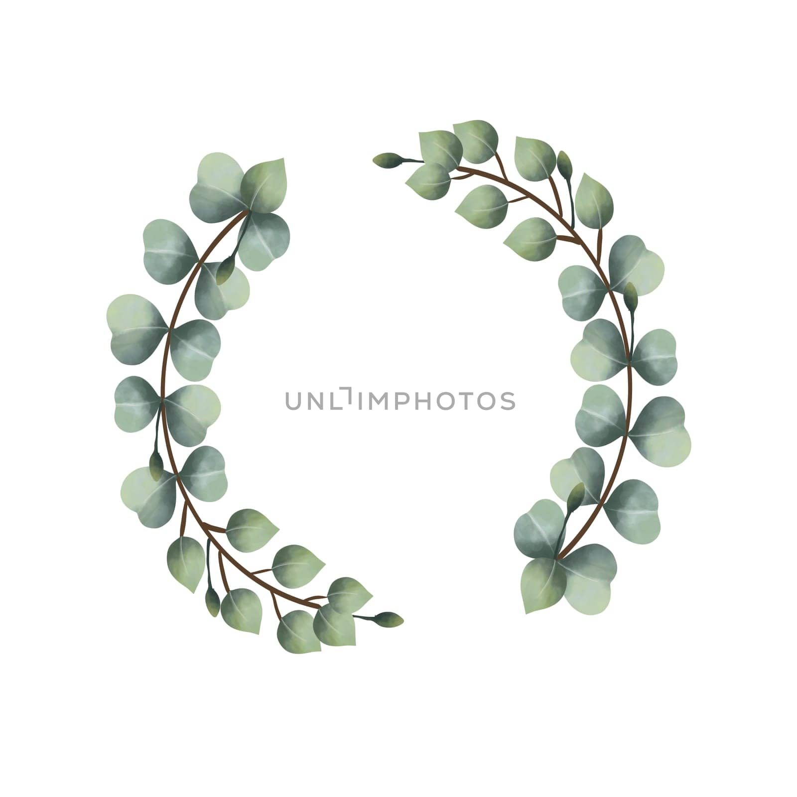watercolor eucalyptus vines on a white background
Isolated by sarayut_thaneerat