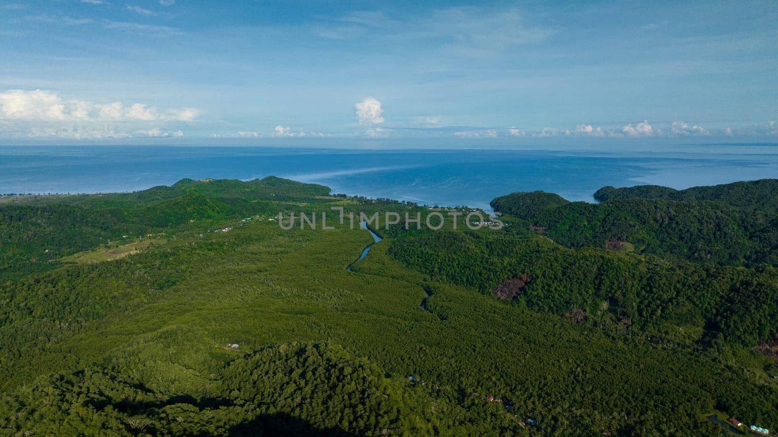 Aerial view of coast of Borneo island and tropical vegetation and jungle. Sabah, Malaysia.