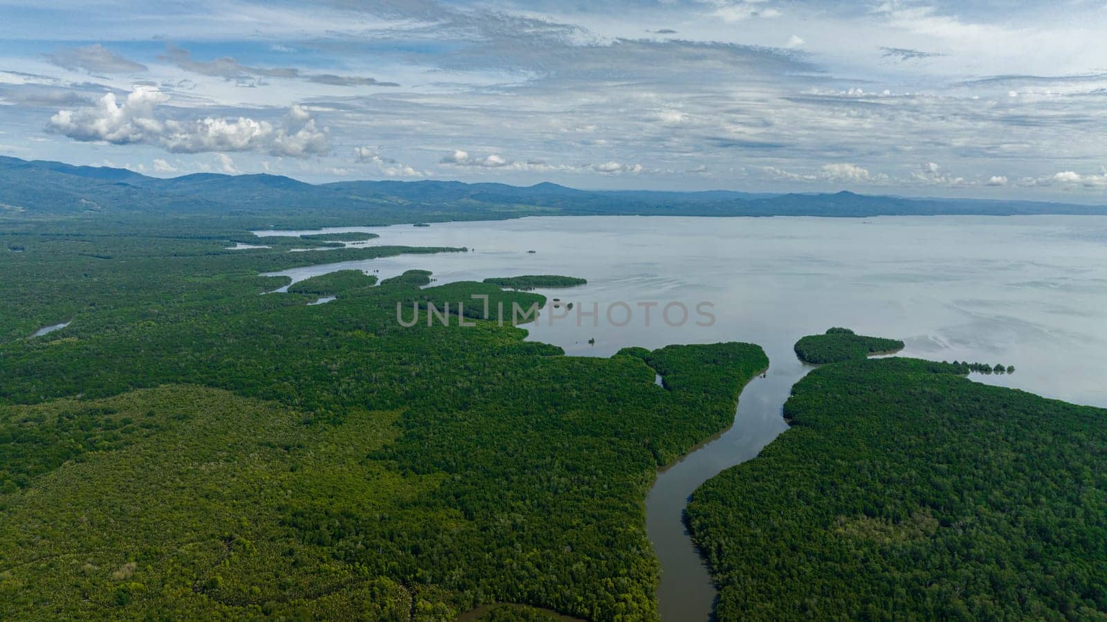 Top view of mangroves on the coast of the island of Borneo and the sea. Reserve with mangroves. Malaysia.