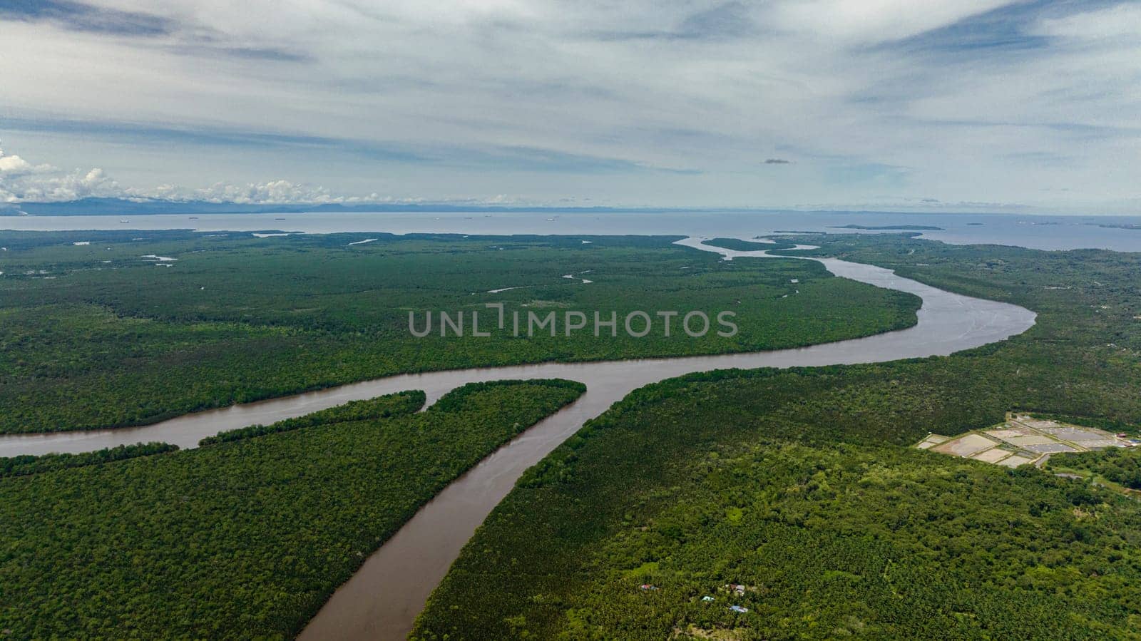 Wetlands with mangroves and swamps. Menumbok forest reserve. Borneo, Sabah, Malaysia.