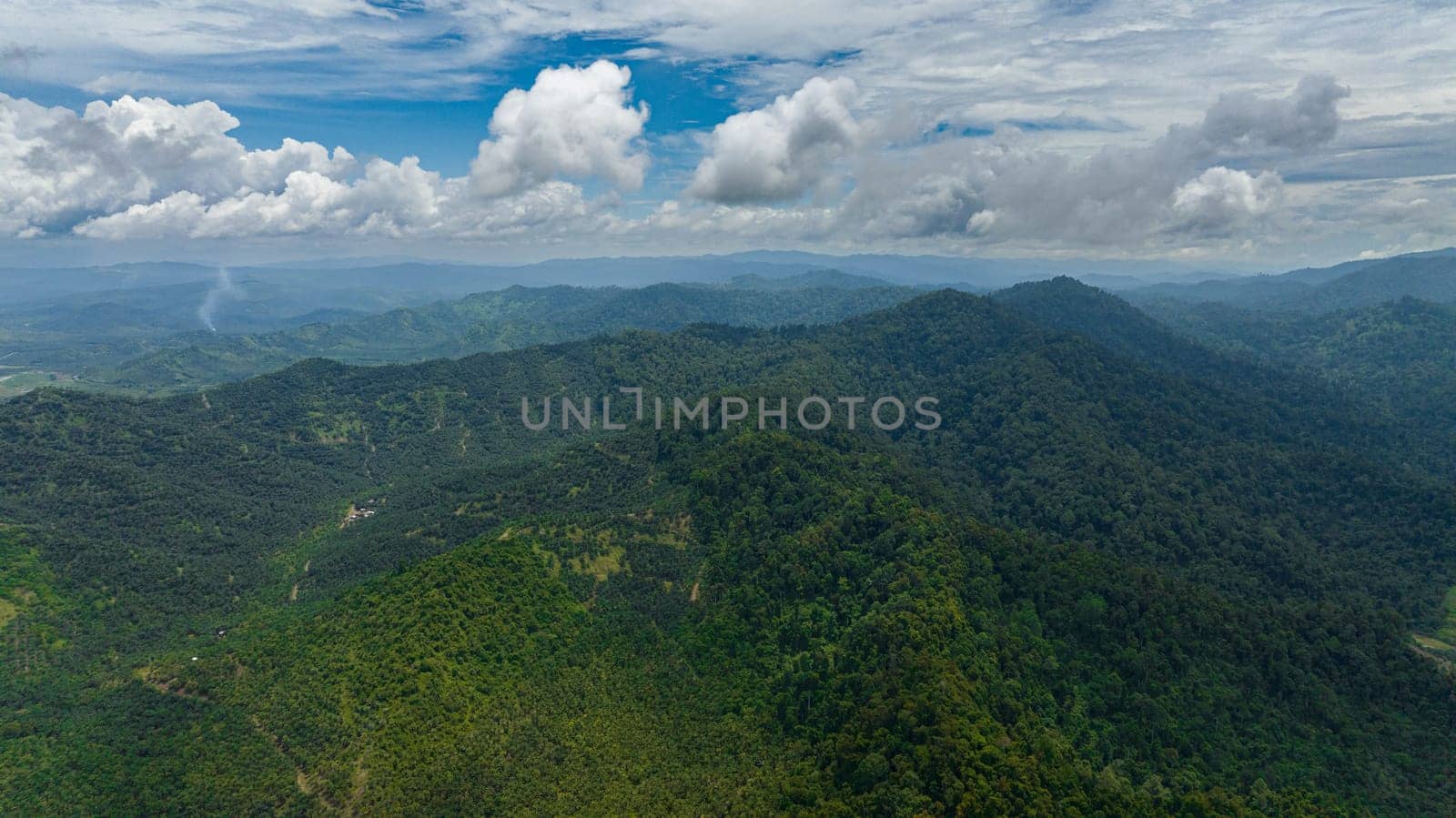 Mountains and hills with green vegetation and trees in the tropics. Borneo, Malaysia.