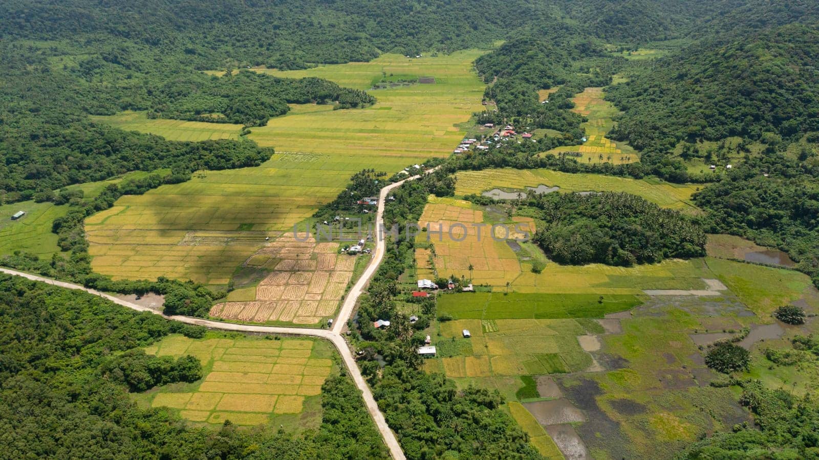 Agricultural land and rice fields in the countryside. Philippines.