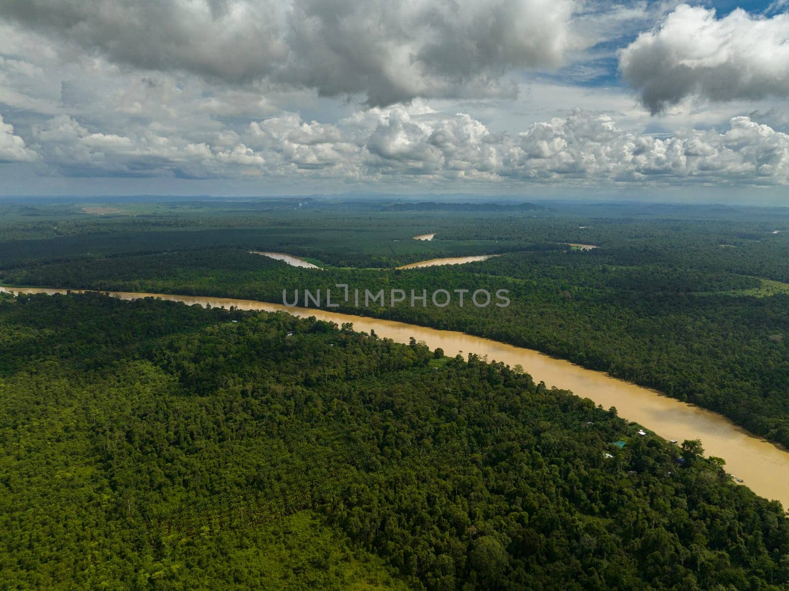 Kinabatangan river among the rainforest and jungle. Borneo, Malaysia.