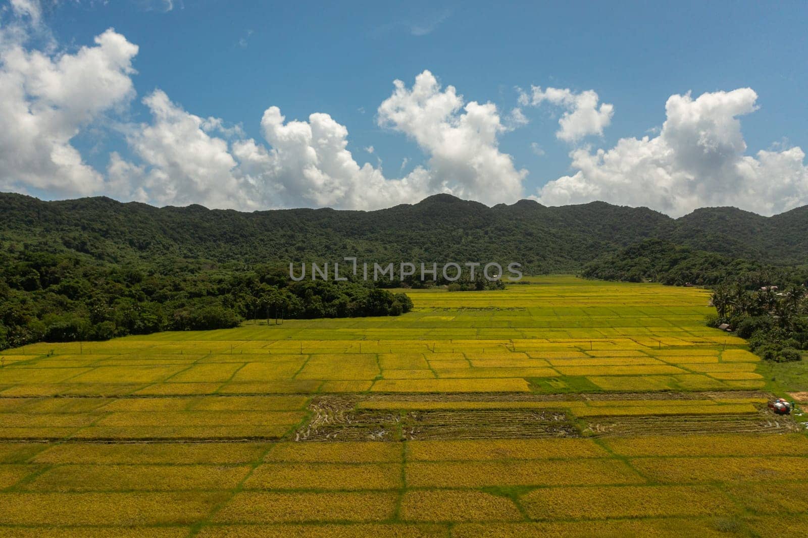 Aerial drone of Agricultural land with sown green fields in countryside. Philippines.