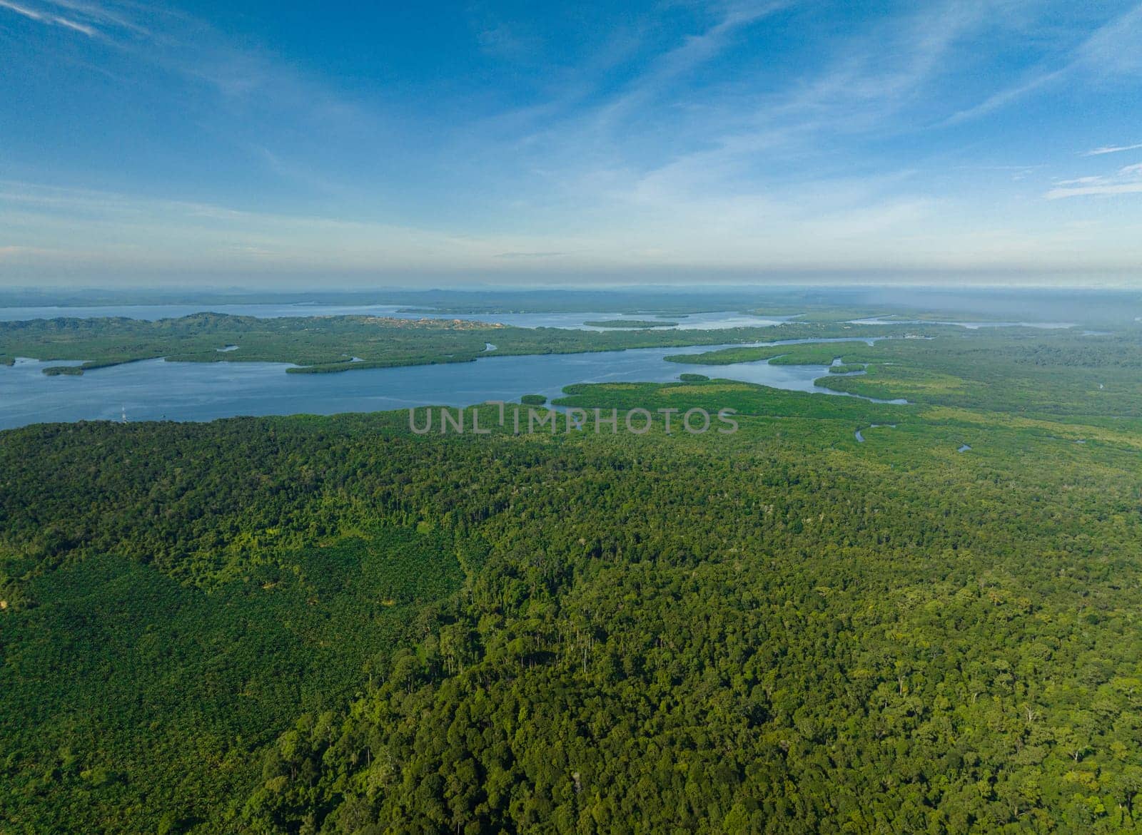 Aerial view of from the sea on the coast of the island of Borneo with tropical vegetation. Sabah, Malaysia.