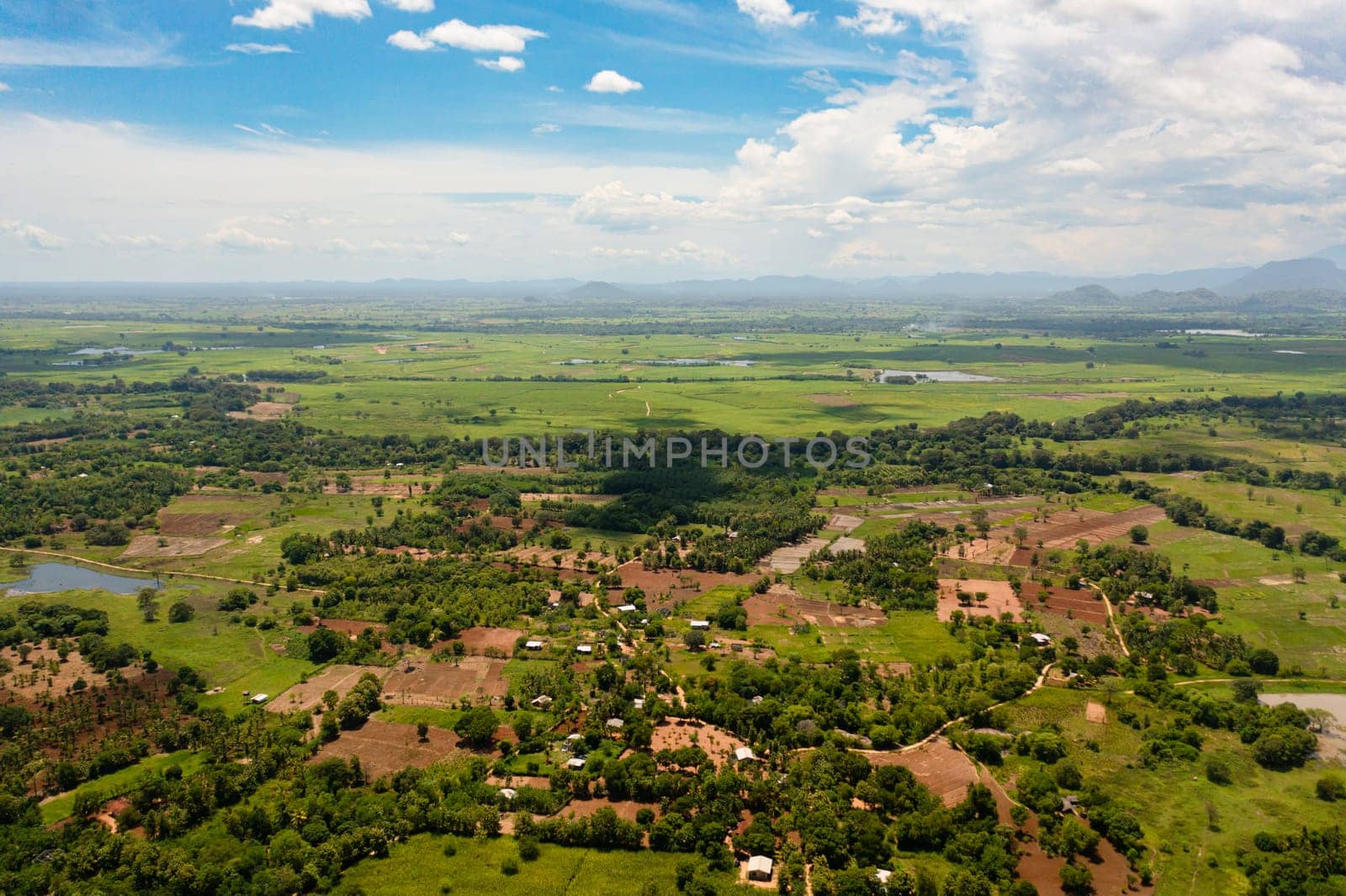 Aerial view of agricultural land and farm fields with crops in the valley. Rural landscape. Sri Lanka.