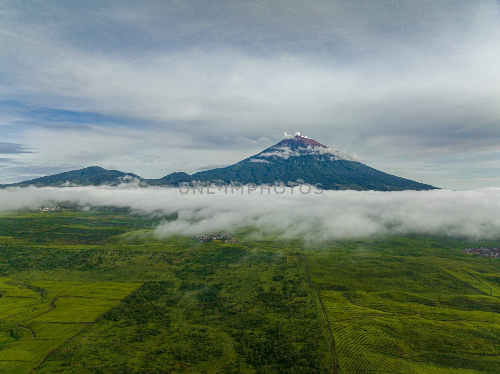 Aerial view of tea plantations on hillsides and Mount Kerinci. Tea estate landscape. Kayu Aro, Sumatra, Indonesia.