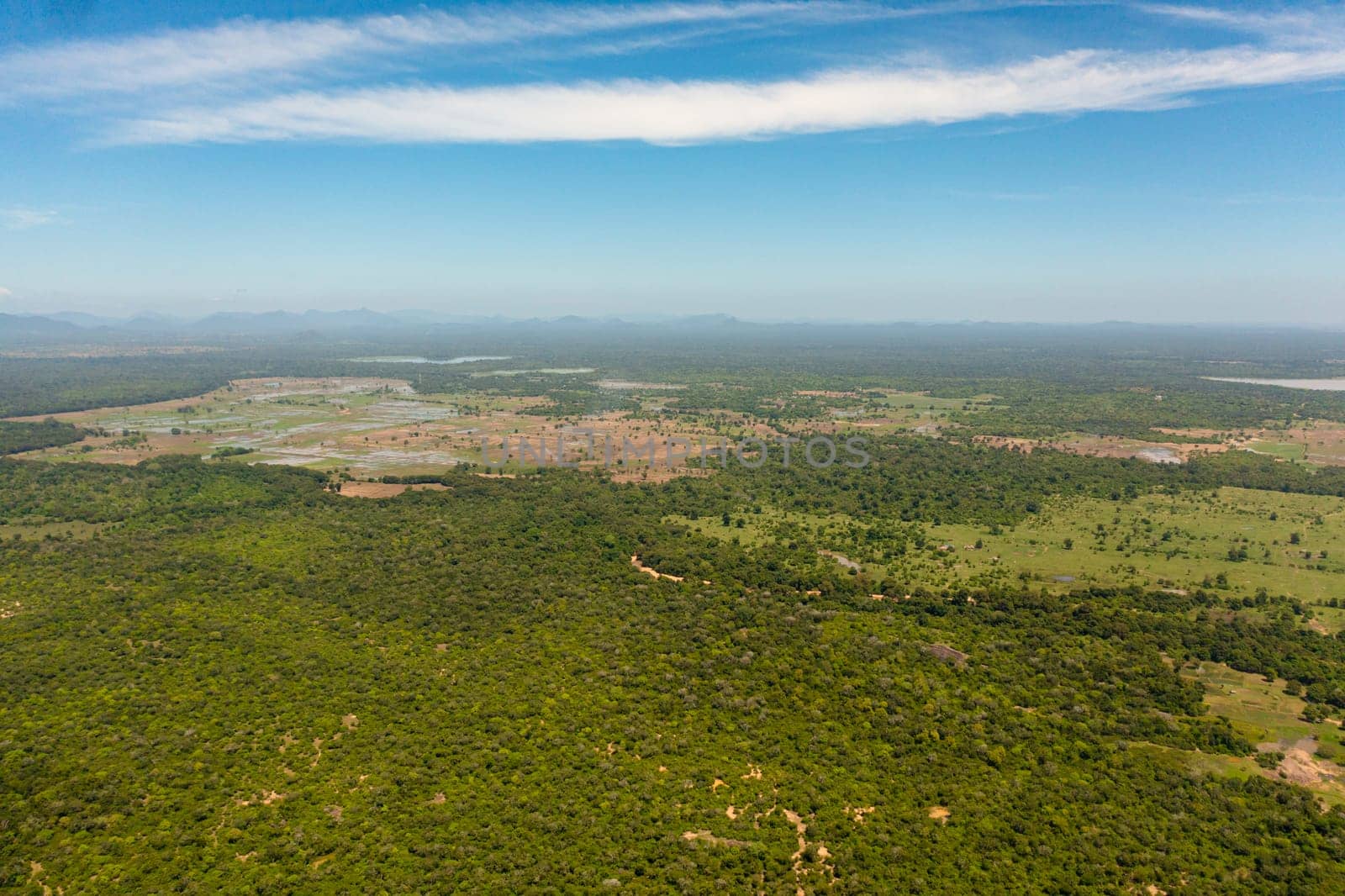 Aerial view of Farm fields with agricultural plants among the jungle. Rural landscape. Sri Lanka.