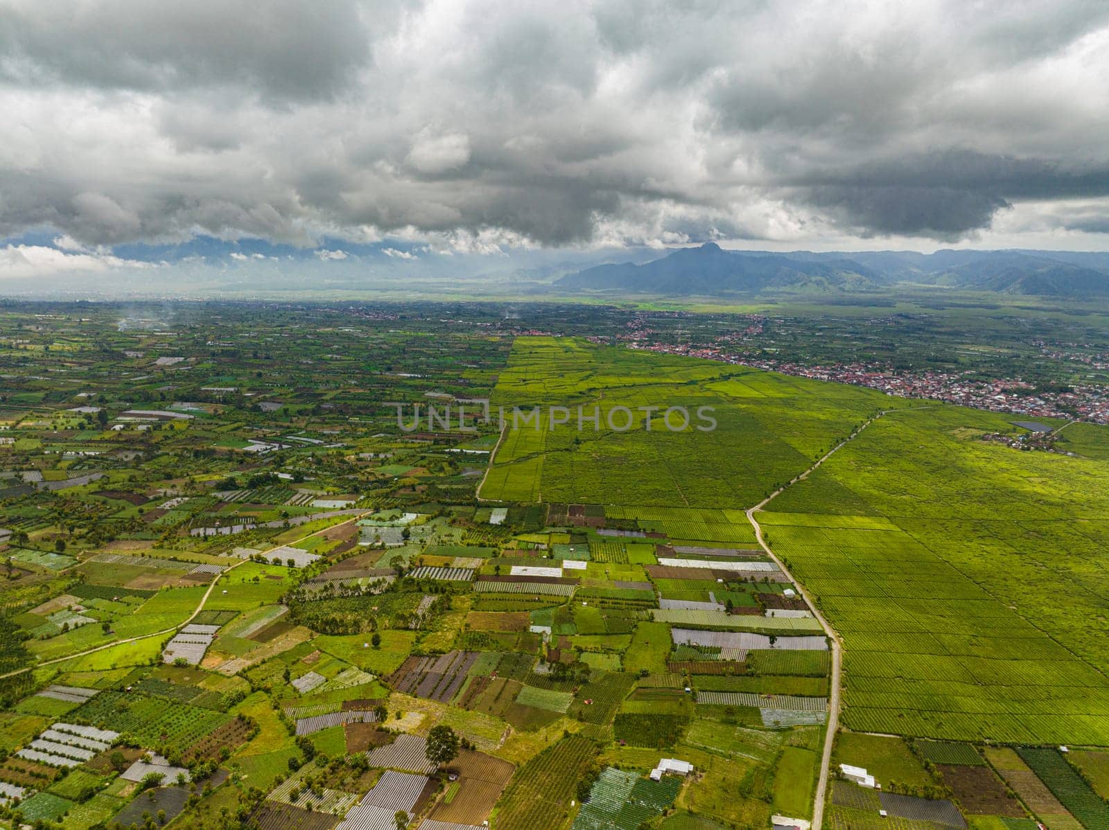 Top view of tea estates and farmland in Sumatra. Tea plantations. Kayu Aro, Indonesia.