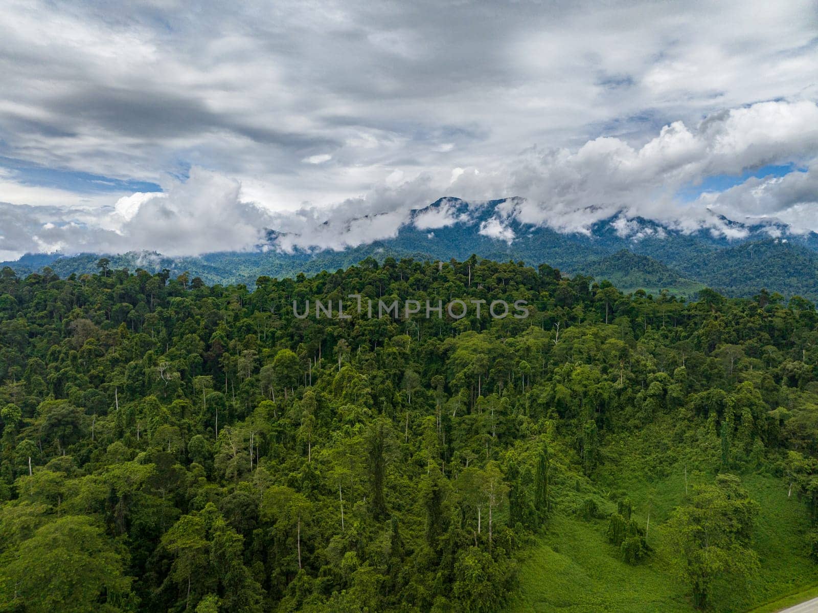 Jungle and mountains in Borneo. Mountain slopes with tropical vegetation. Malaysia.