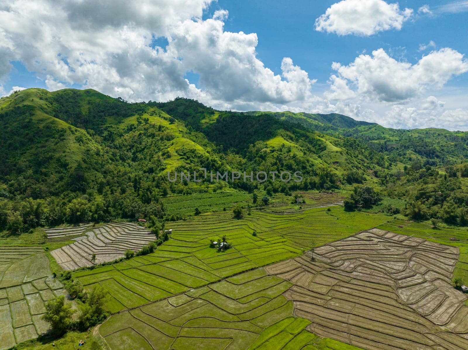 Aerial view of rice plantations and farmland among the mountains. Negros, Philippines