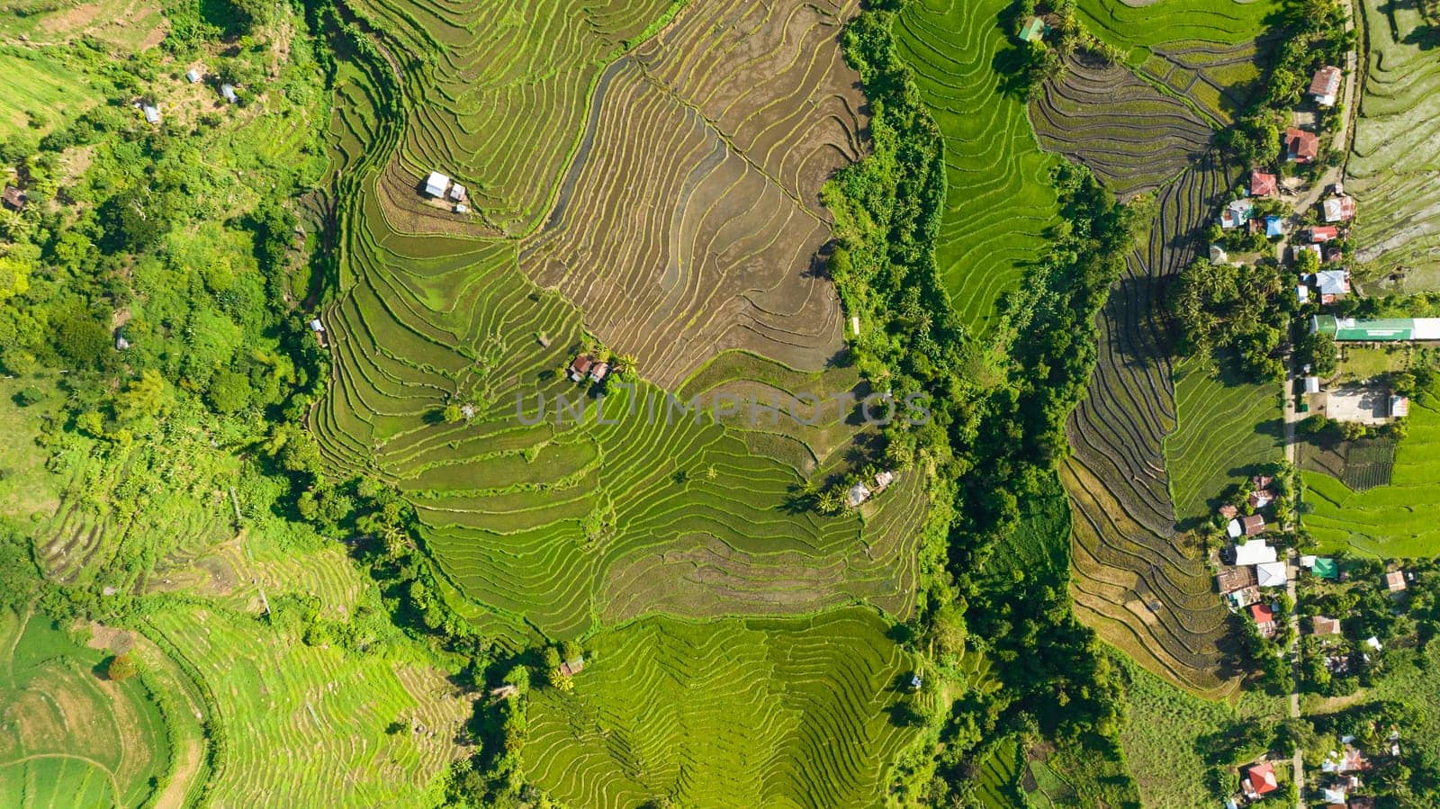 Aerial view of farmland with rice terraces in the countryside. Negros, Philippines.