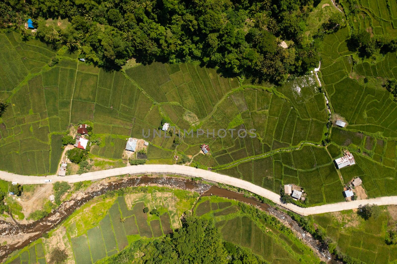 Aerial view of Farming and growing plants in rural areas of Philippines. Agricultural landscape.