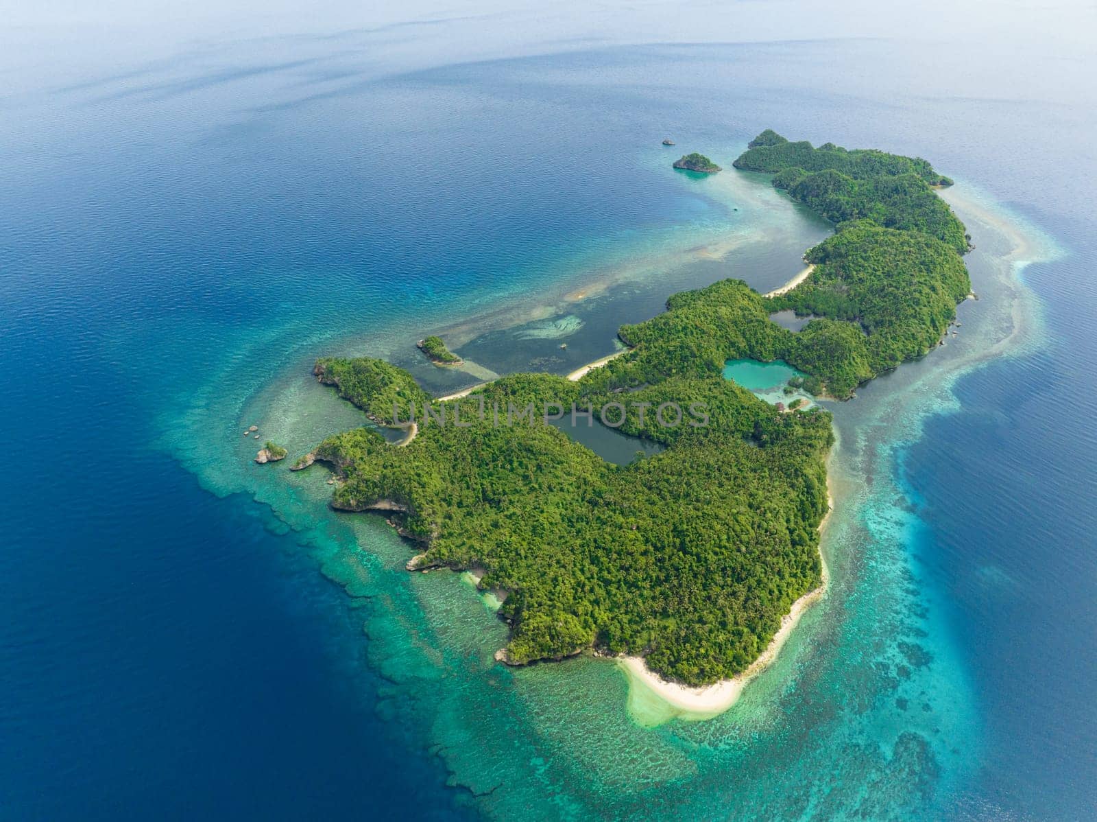Aerial view of tropical island in the blue sea with sandy beach. Danjugan islands, Philippines.