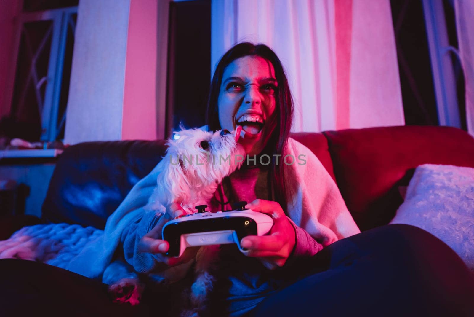 Close up portrait of A gamer or a streamer girl at home in a dark room with a game controller playing with her dog and sits in front of a monitor or TV. Crazy emotions. High quality photo