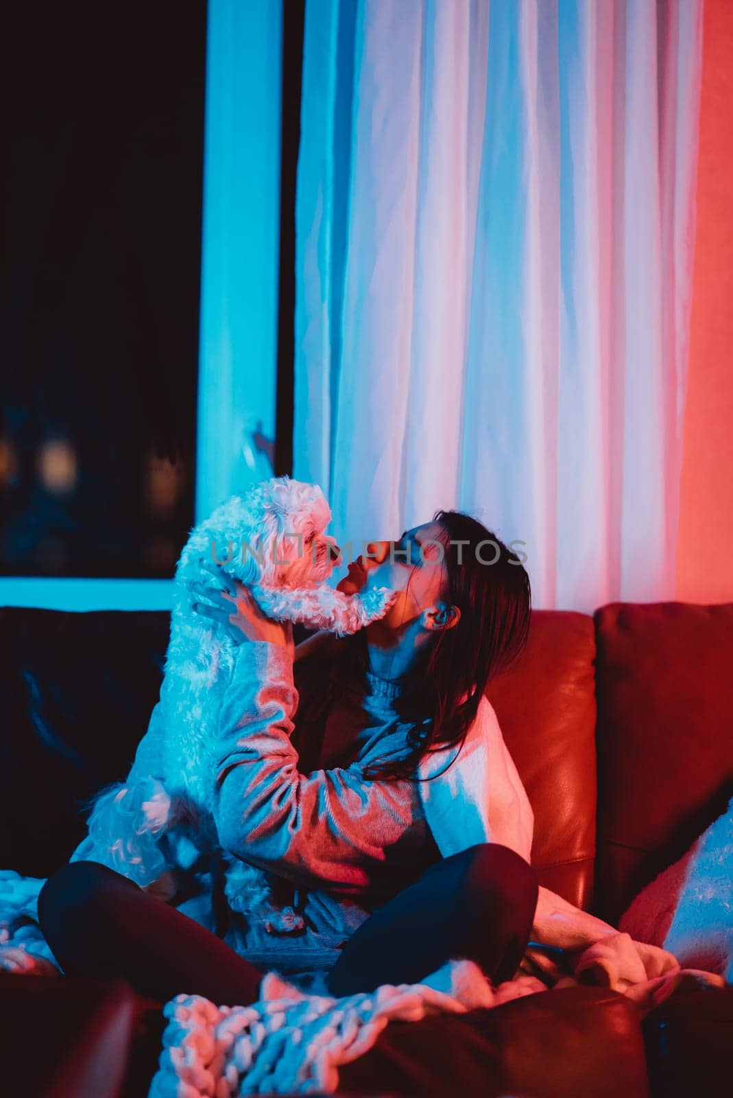 Beautiful young girl watching movie at home in a dark room with a popcorn bucket and playing with her dog and sits in front of a monitor or TV watching movie. Crazy emotions. High quality photo