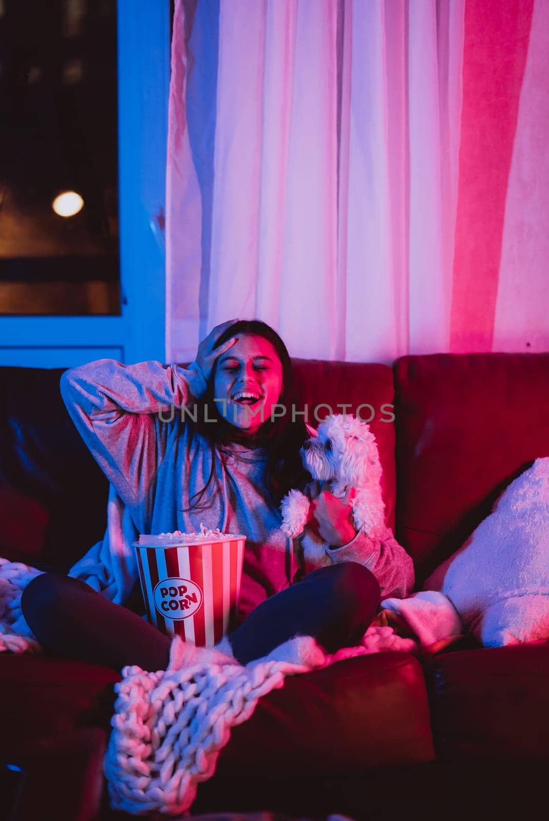 Beautiful young girl watching movie at home in a dark room with a popcorn bucket and playing with her dog and sits in front of a monitor or TV watching movie. Crazy emotions. High quality photo