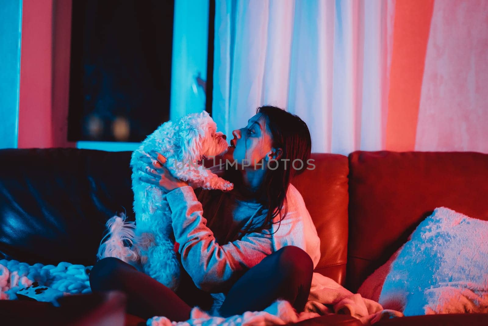 Beautiful young girl watching movie at home in a dark room with a popcorn bucket and playing with her dog and sits in front of a monitor or TV watching movie. Crazy emotions. High quality photo