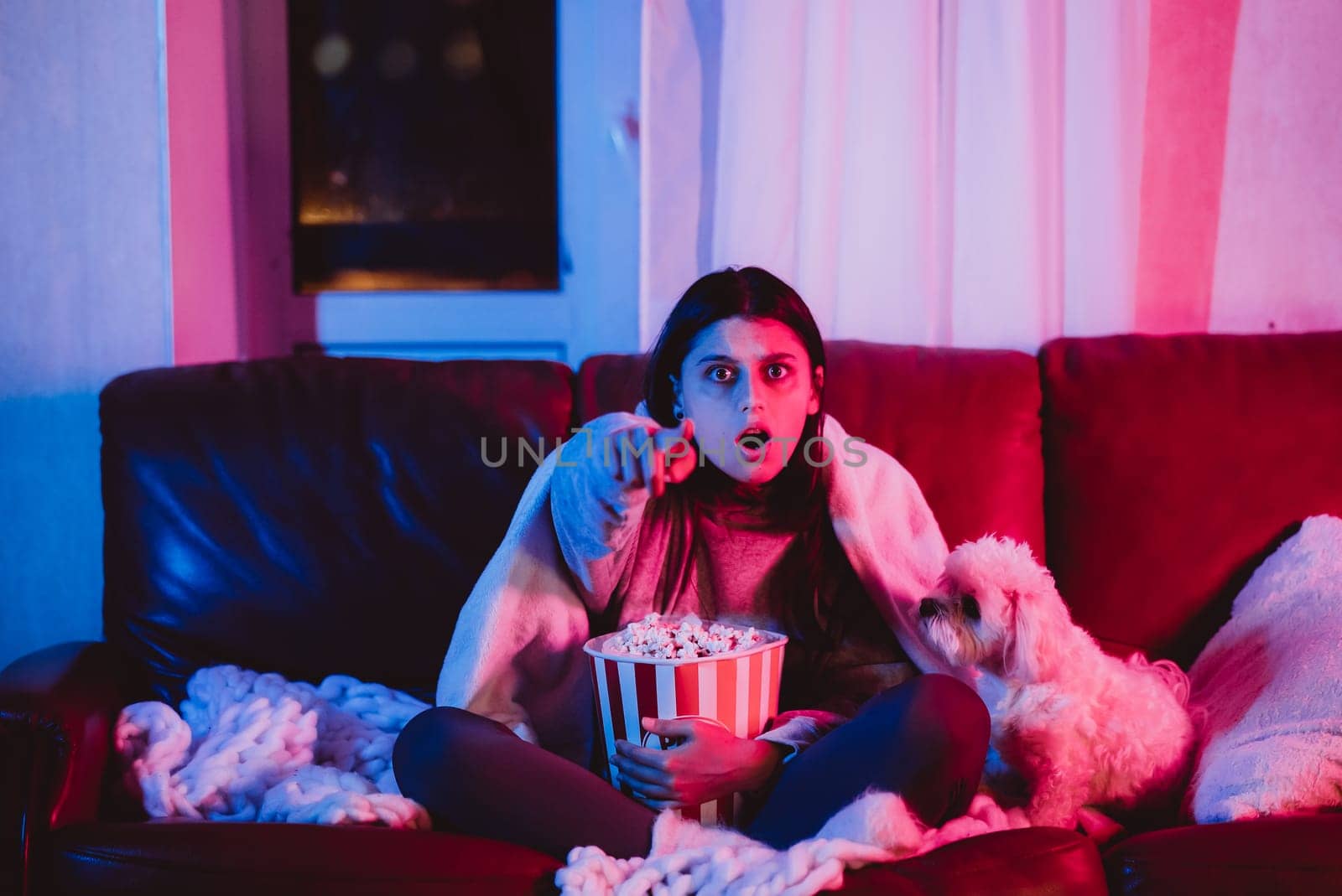 Beautiful young girl at home in a dark room with a popcorn bucket playing with her dog and sits in front of a monitor or TV watching movie. High quality photo