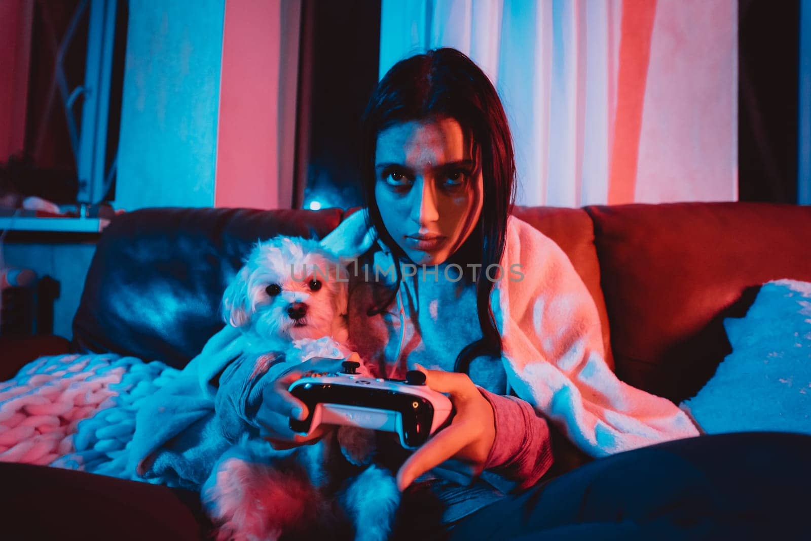 Close up portrait of A gamer or a streamer girl at home in a dark room with a game controller playing with her dog and sits in front of a monitor or TV. Crazy emotions. High quality photo