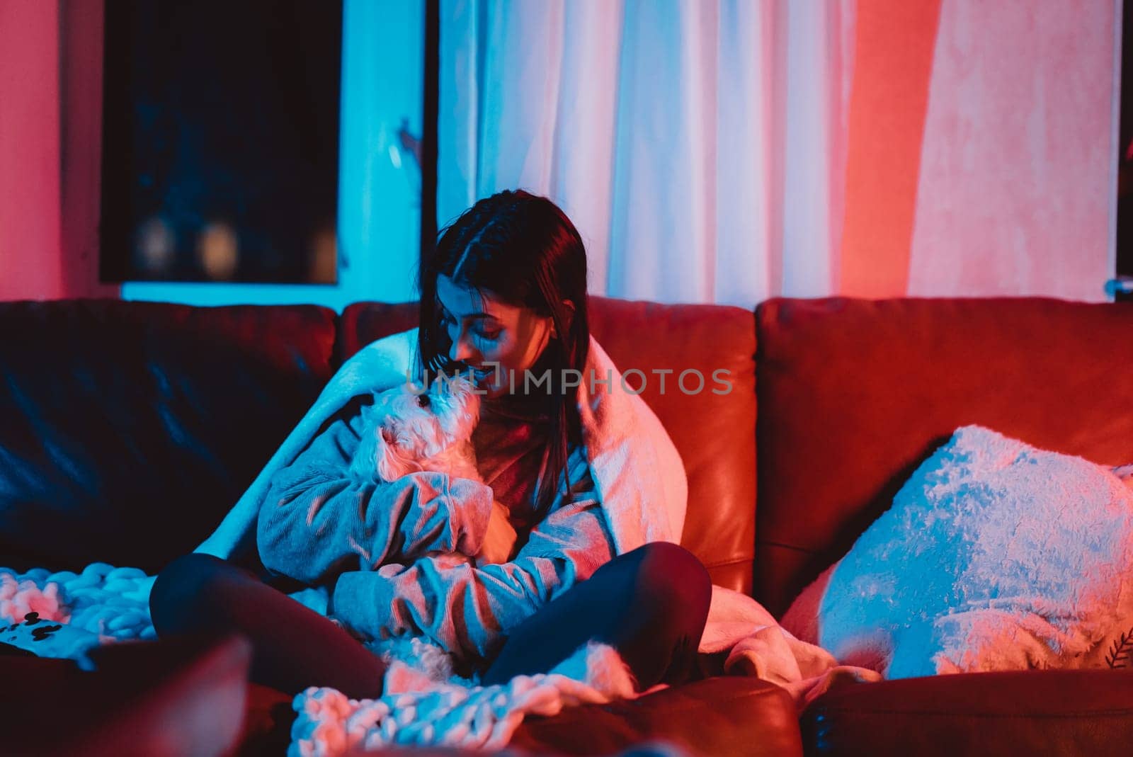 Beautiful young girl watching movie at home in a dark room with a popcorn bucket and playing with her dog and sits in front of a monitor or TV watching movie. Crazy emotions. High quality photo