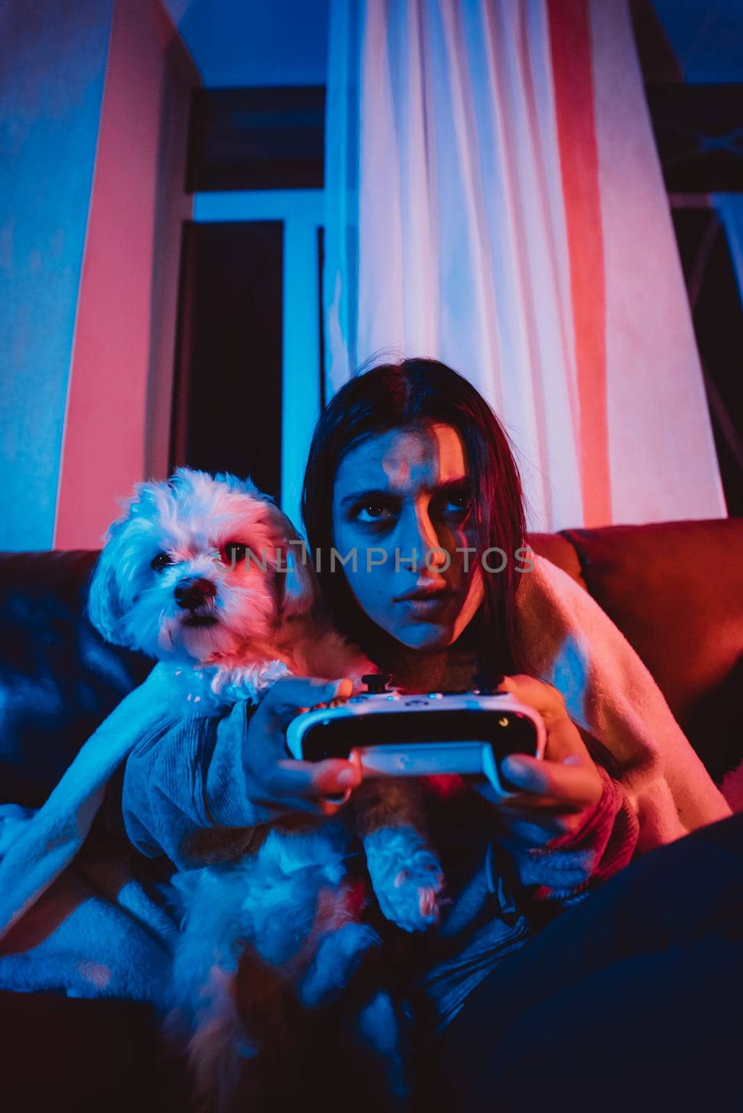 Close up portrait of A gamer or a streamer girl at home in a dark room with a game controller playing with her dog and sits in front of a monitor or TV. High quality photo