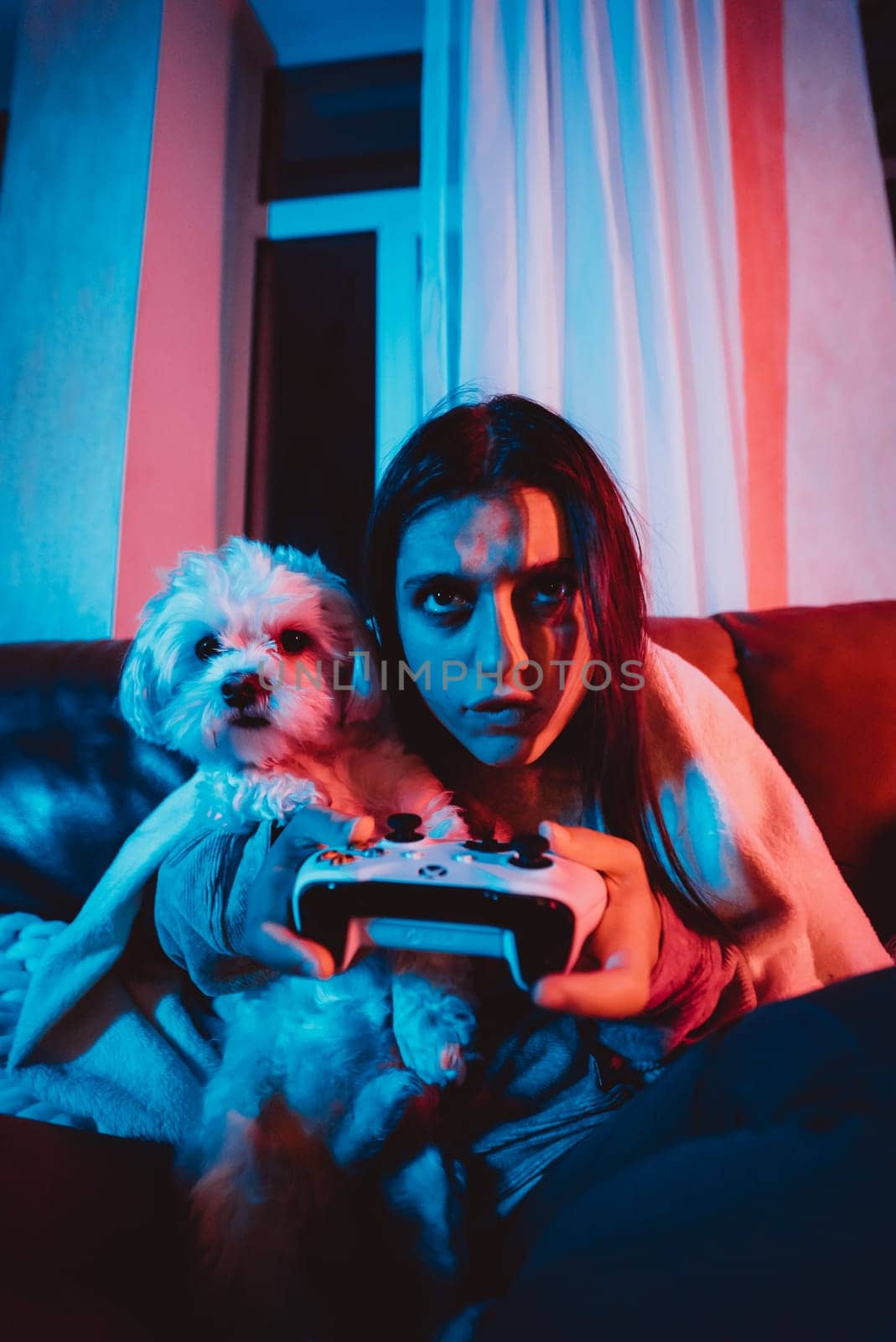 Close up portrait of A gamer or a streamer girl at home in a dark room with a game controller playing with her dog and sits in front of a monitor or TV. High quality photo
