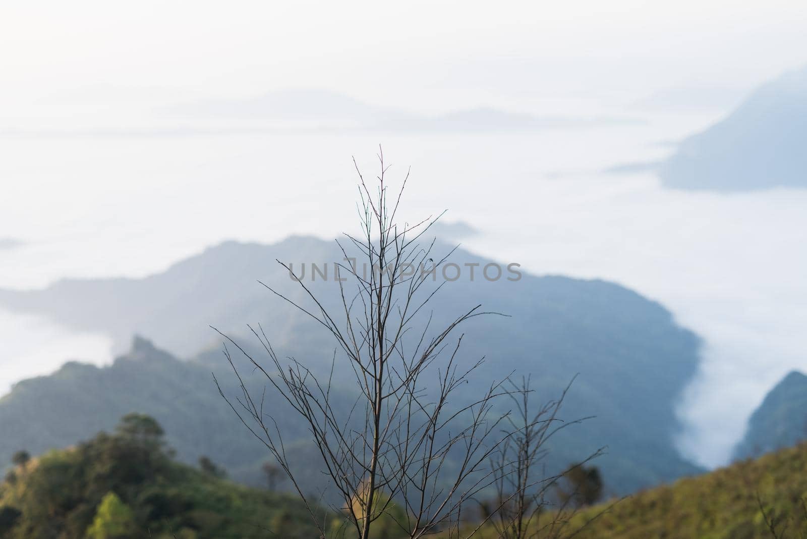 shot taken from the mountain. Showing cloudscape and mountains by Wmpix