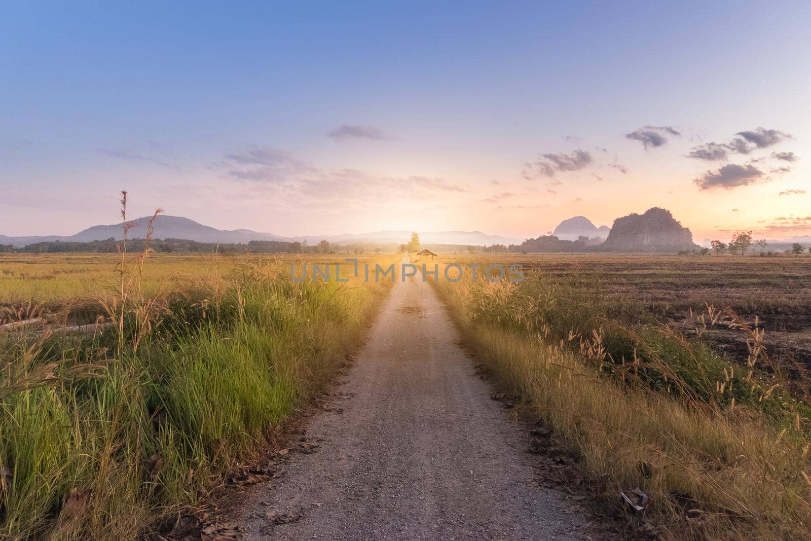 long road in the field mountain sunset by Wmpix