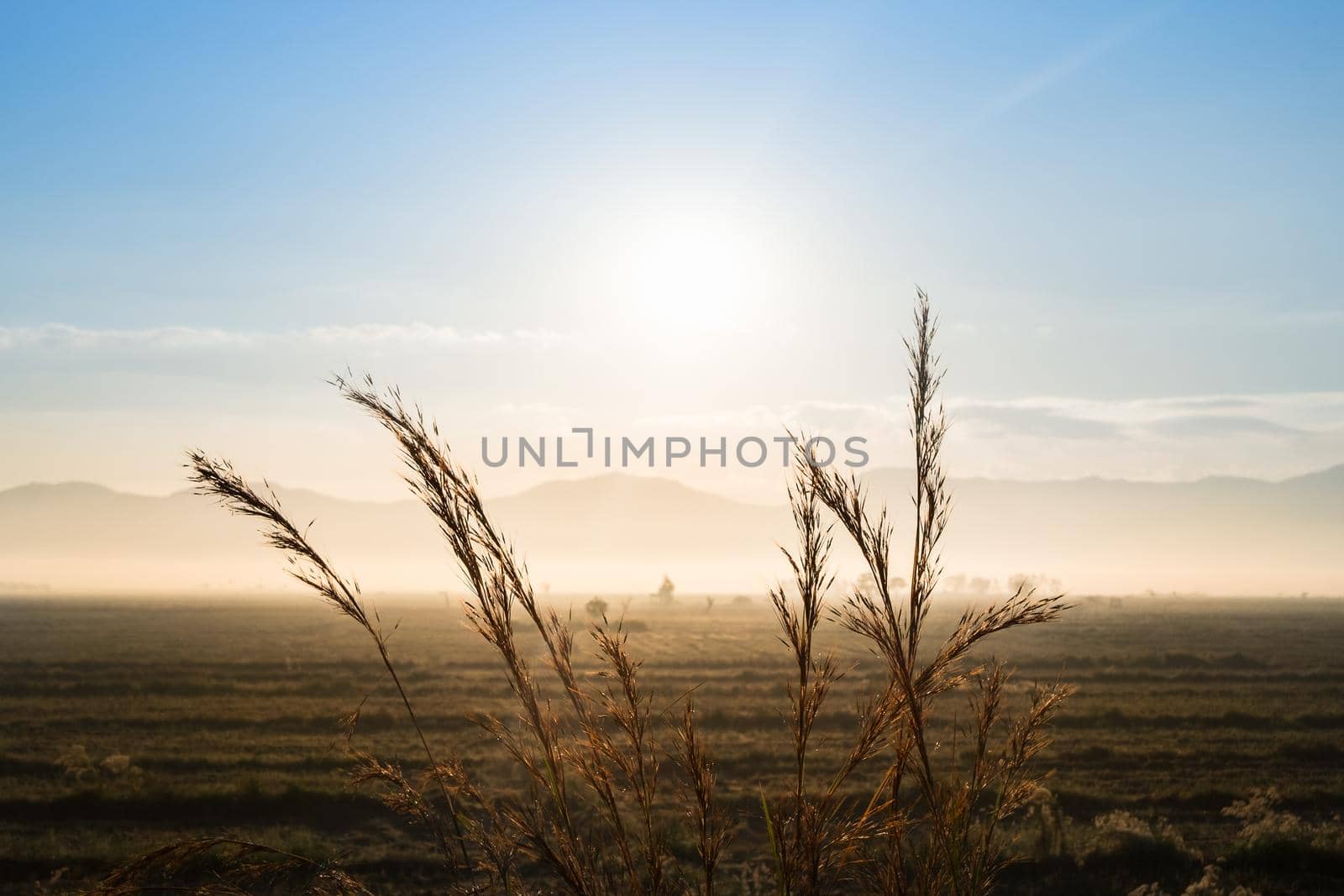 sunrise on field mountain by Wmpix