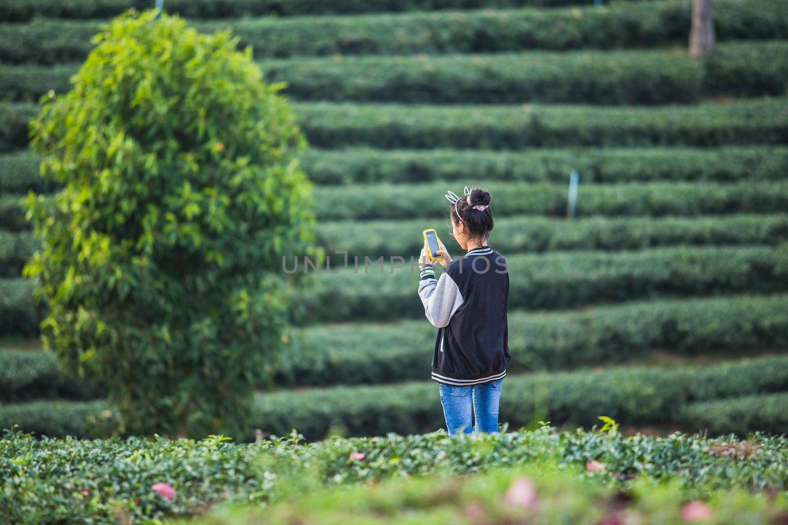 asia girl take a photo at tea farm by Wmpix