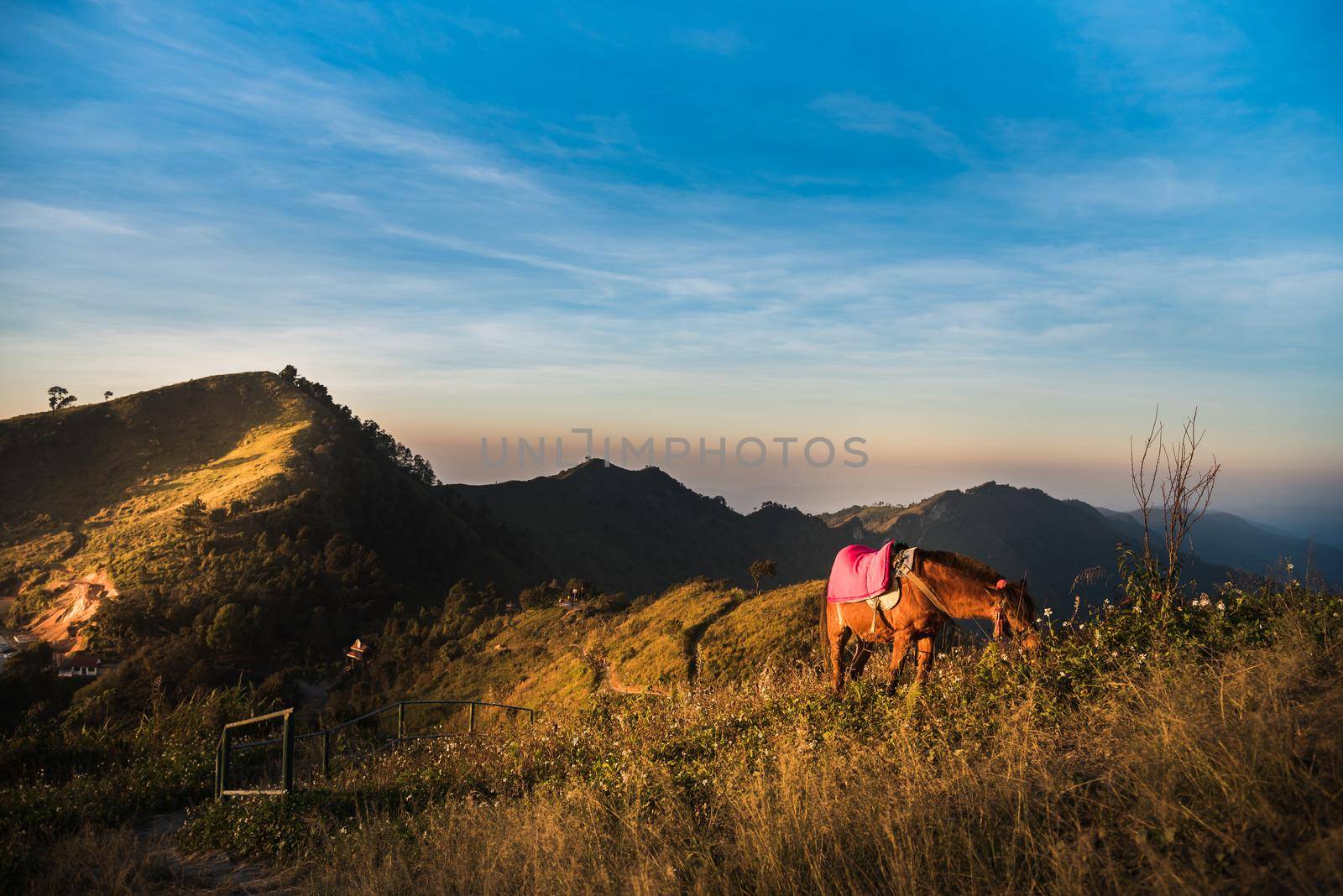 horses on the mountain by Wmpix