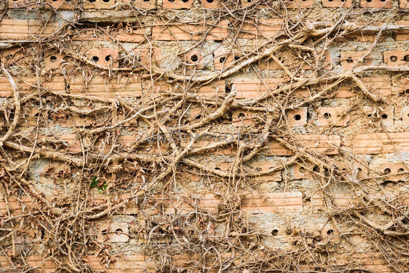 Brick wall texture background by Wmpix