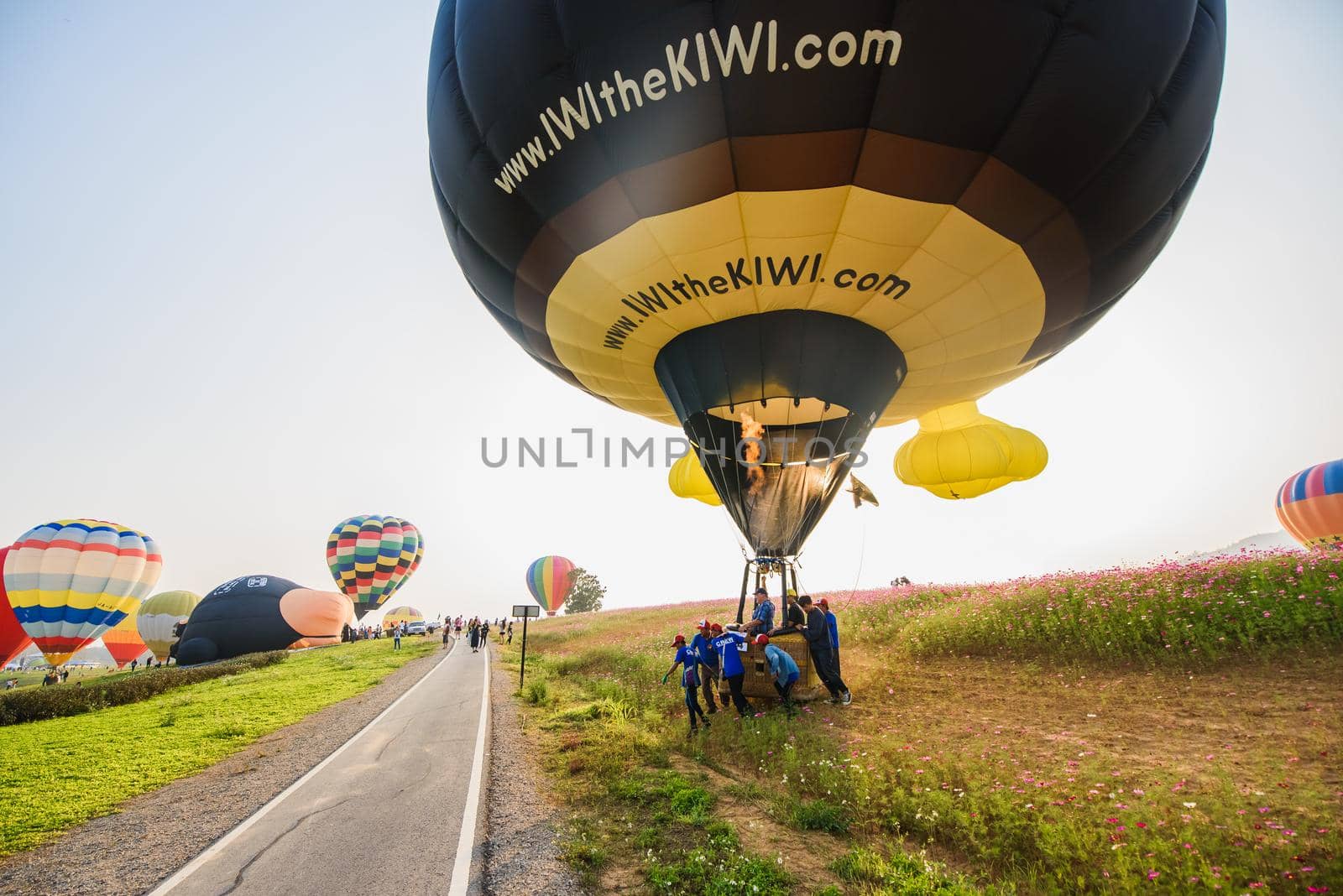 CHIANGRAI, THAILAND - February 13 : International Balloon Fiesta 2016 , February 13 2016 in Singha Park, CHIANGRAI, THAILAND by Wmpix