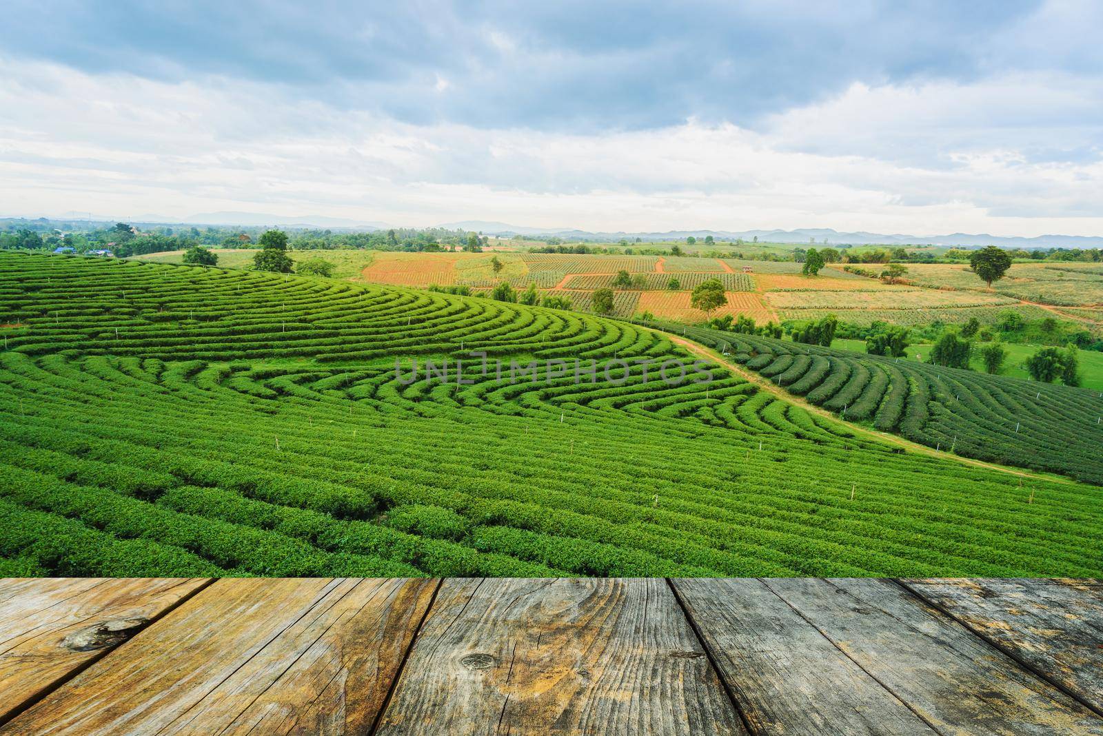 wood floor on tea plantation farm