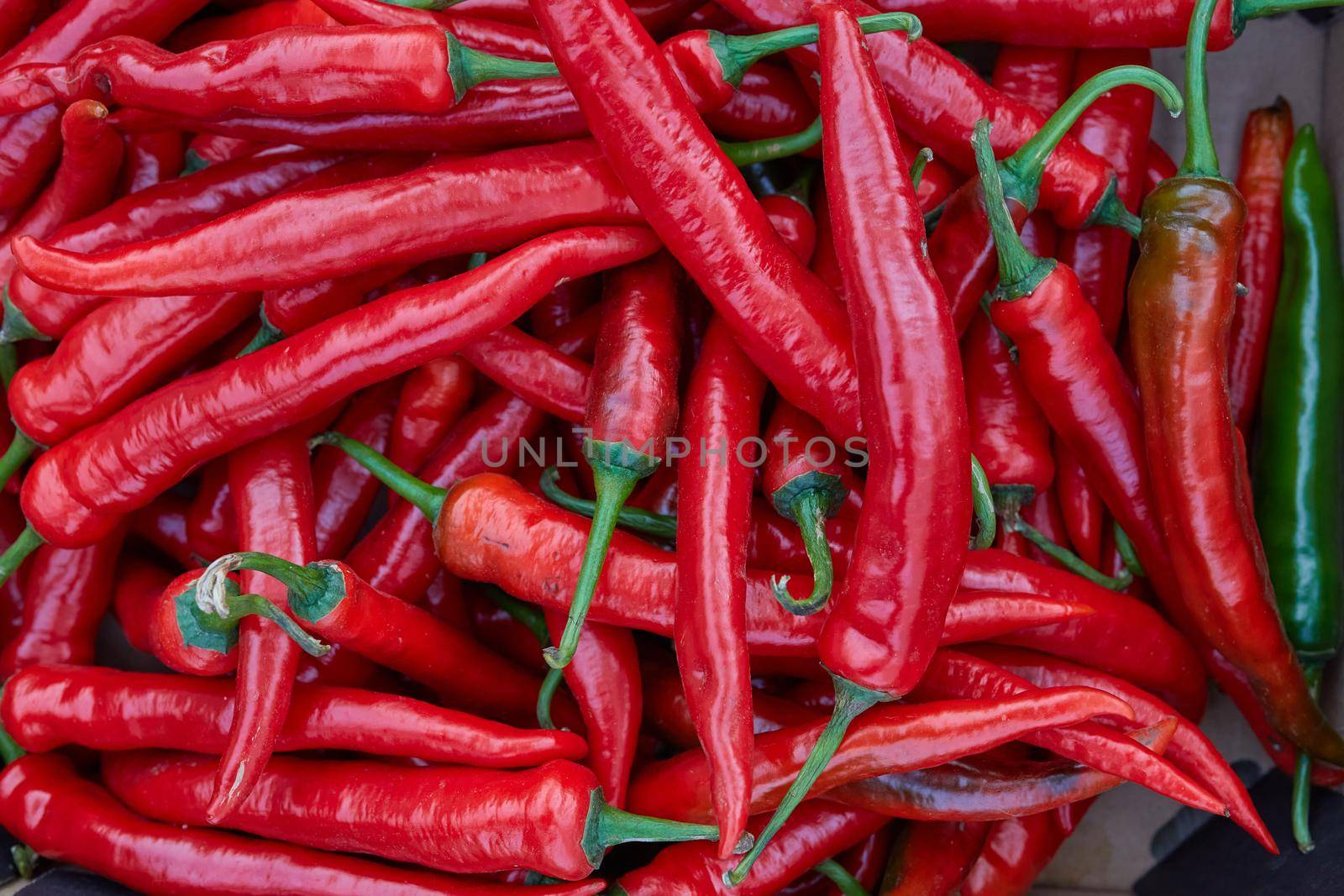Close up group of red hot chilli peppers