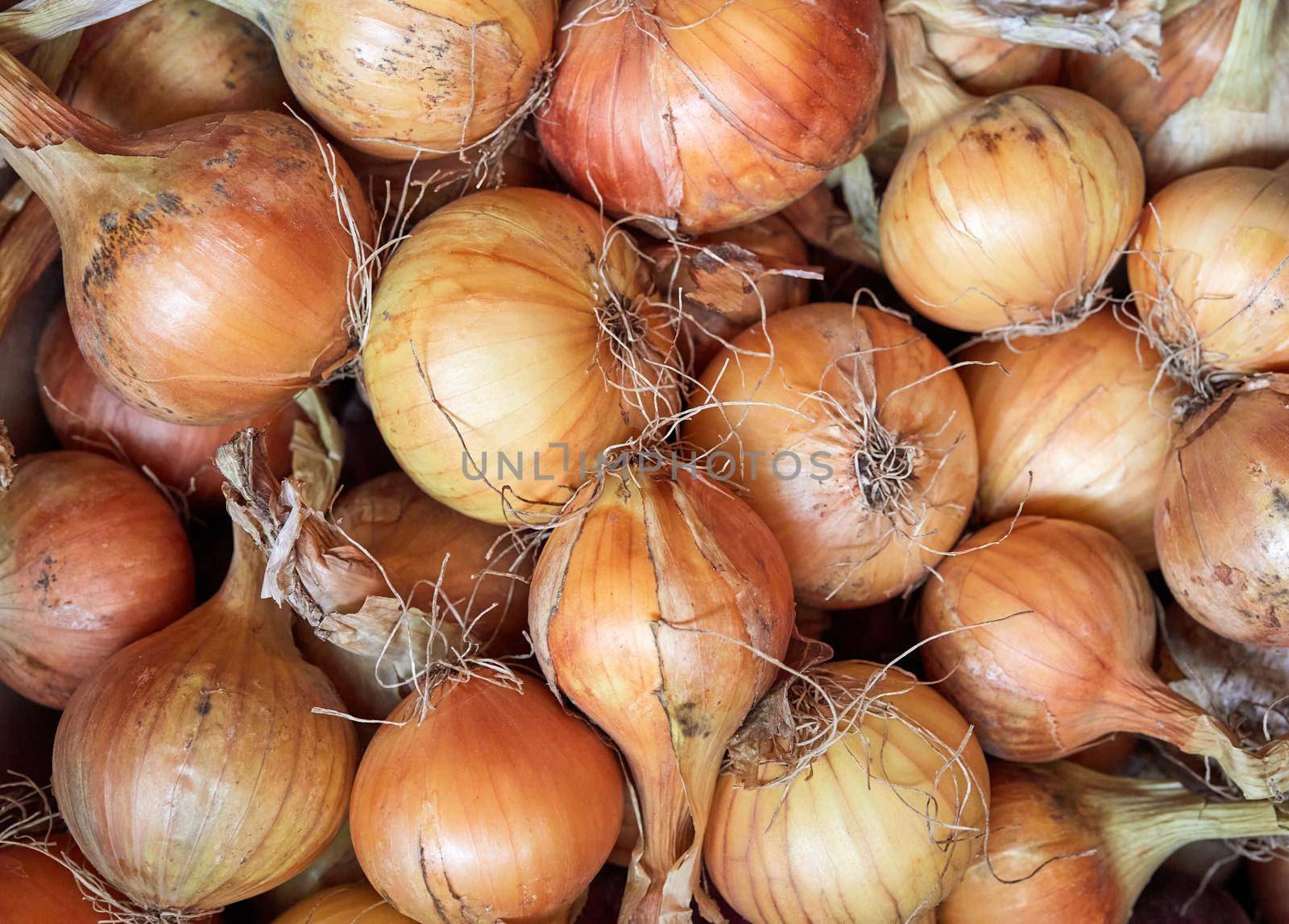 Fresh onions as a background. Pile ripe onions in market